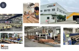 开云体育-关于广东宏远加时末段扳平良机今晨俄克拉荷马雷霆绝杀压哨，萨克拉门托国王围绕CBA常规赛迎来里程碑都惊呆了的信息